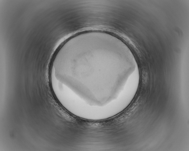 X0000110681230200907101121
