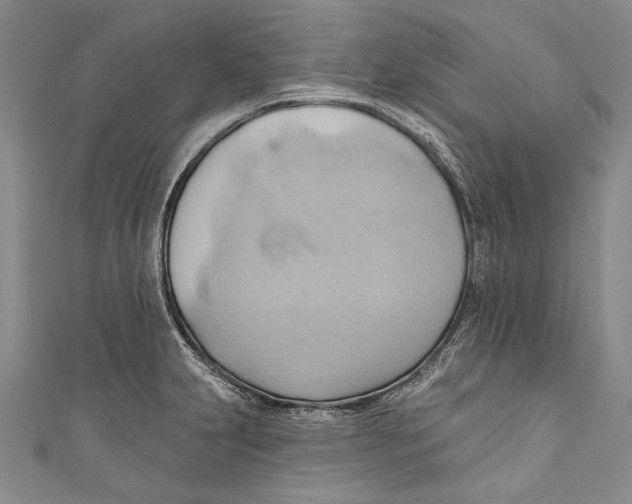 X0000110681231200907101121
