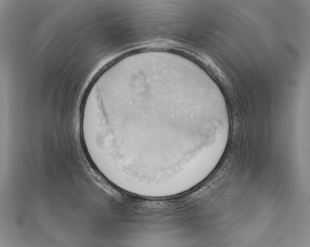 X0000110681232200907101121