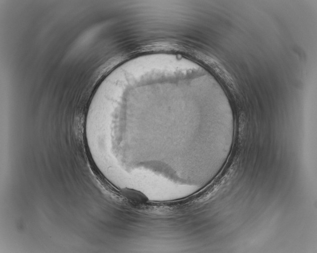 X0000110681233200907101121