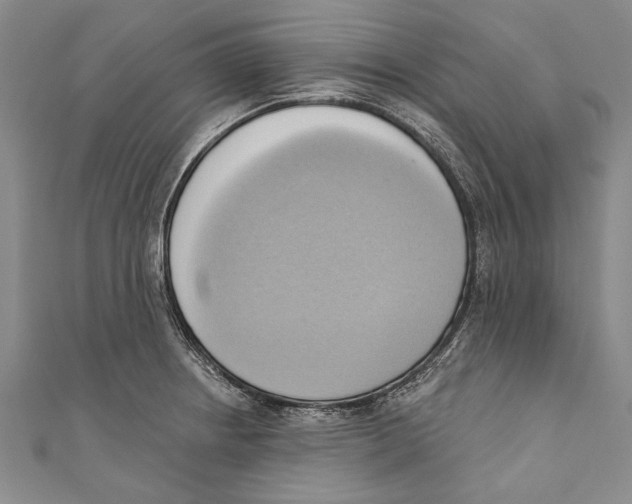 X0000110681234200907101121