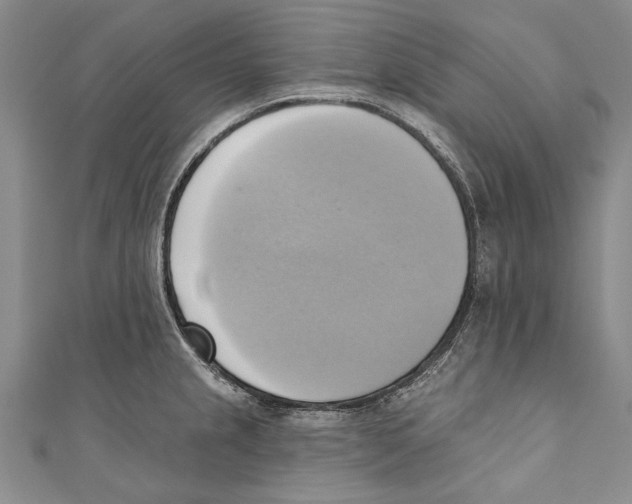 X0000110681237200907101121