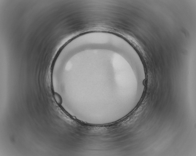 X0000110681238200907101121