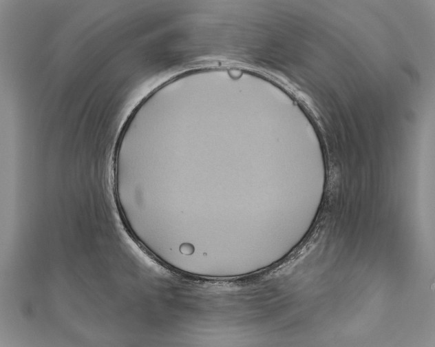 X0000110681239200907101121