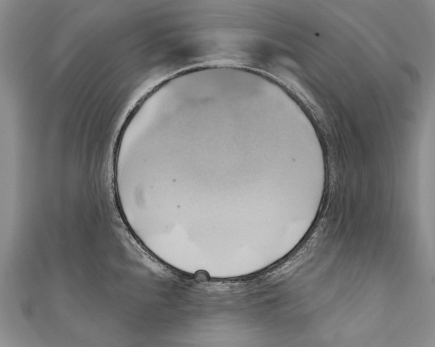 X0000110681240200907101121