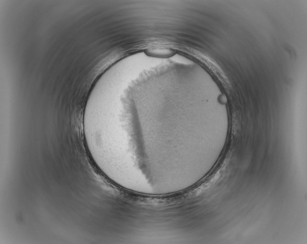 X0000110681241200907101121