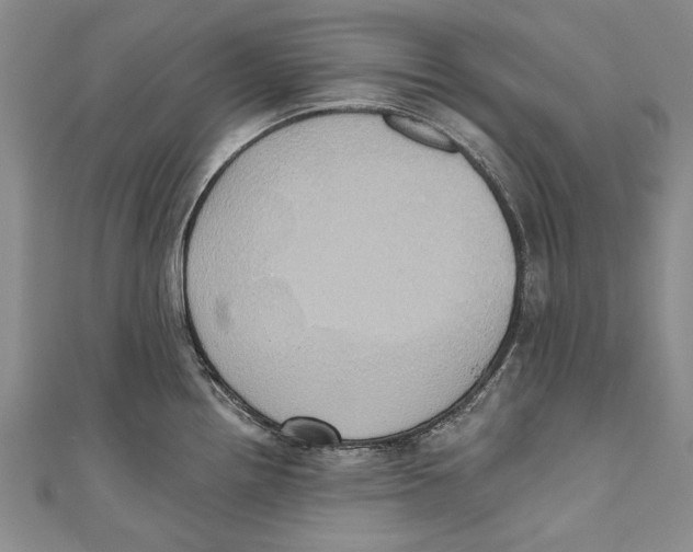 X0000110681242200907101121