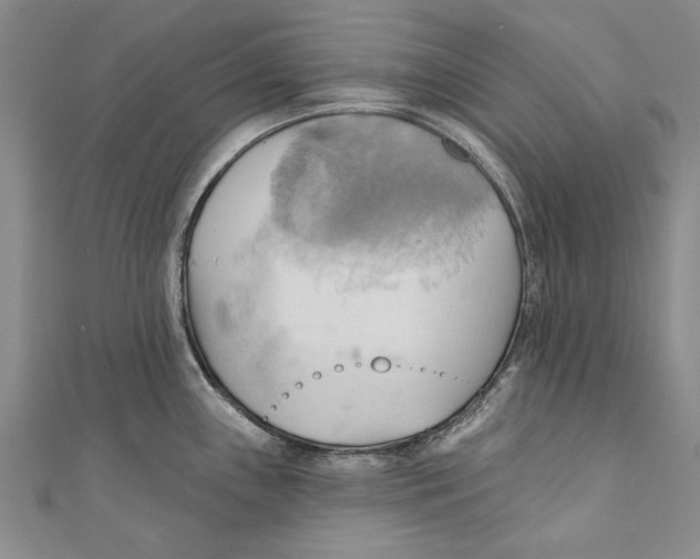 X0000110681243200907101121