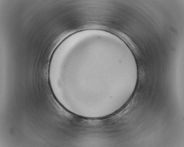X0000110681244200907101121