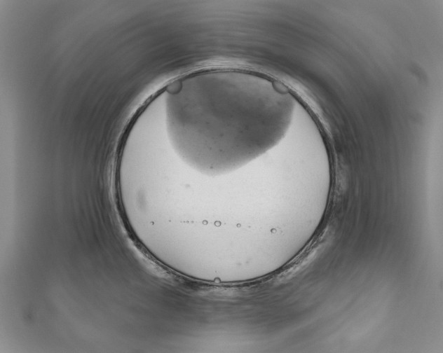 X0000110681245200907101121