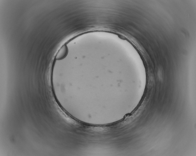 X0000110681246200907101121