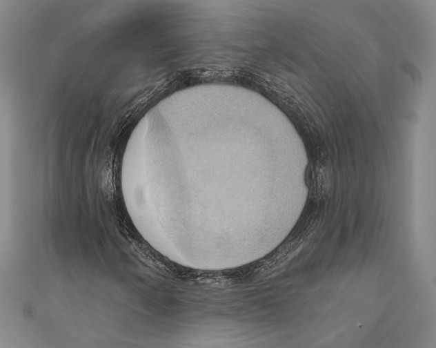 X0000110681250200907101120