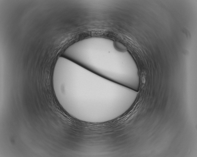 X0000110681252200907101120