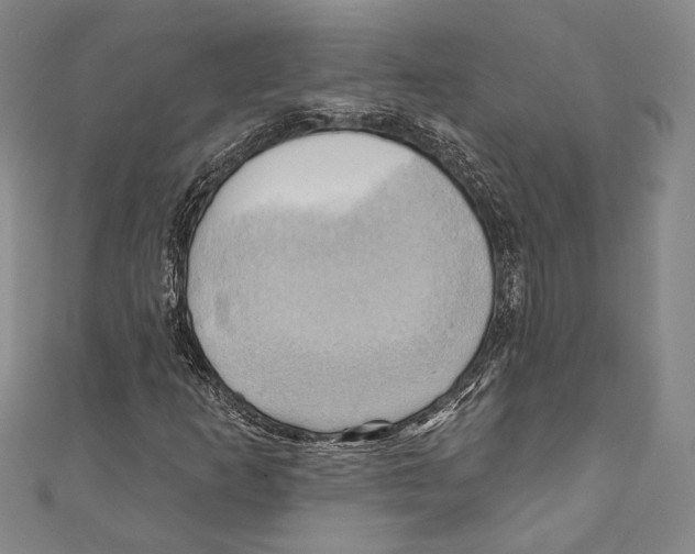 X0000110681253200907101120