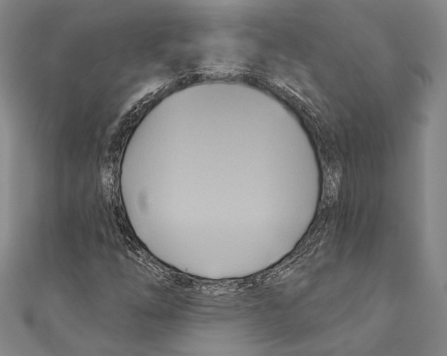 X0000110681254200907101120