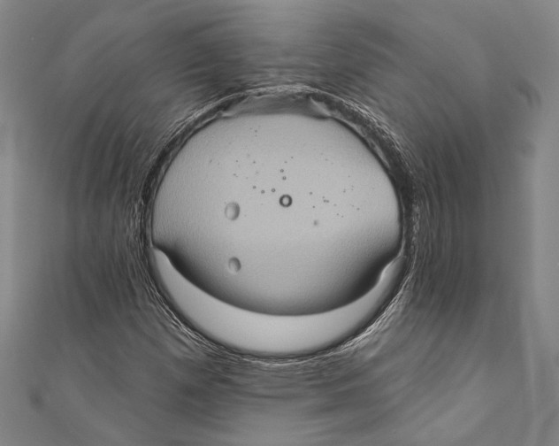 X0000110681257200907101120