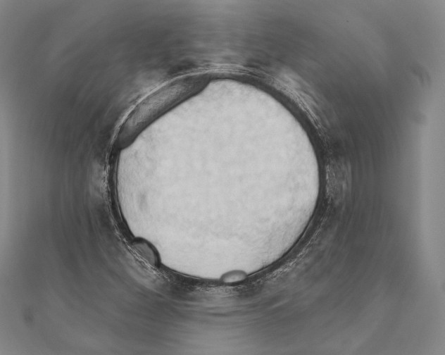X0000110681260200907101120