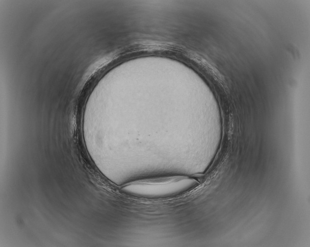 X0000110681261200907101120