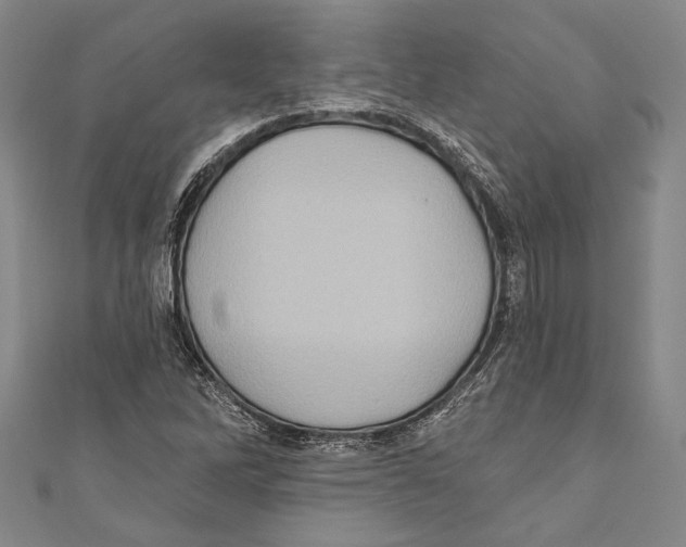 X0000110681262200907101120
