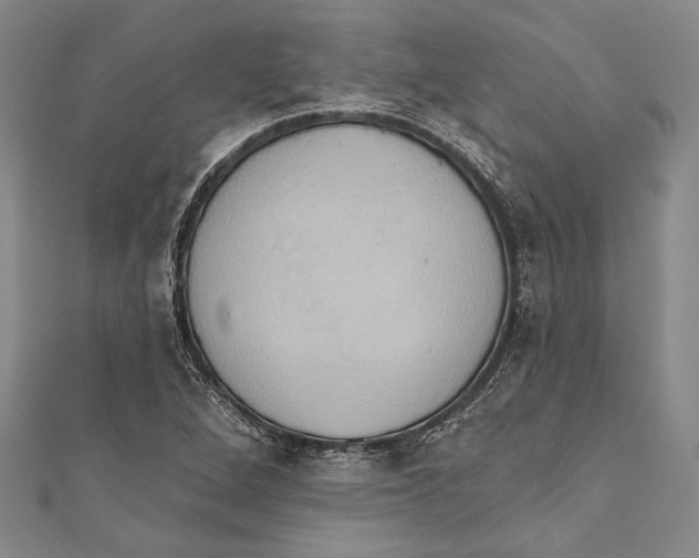 X0000110681264200907101120