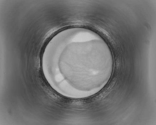 X0000110681267200907101120
