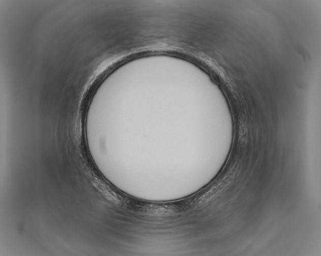 X0000110681270200907101120