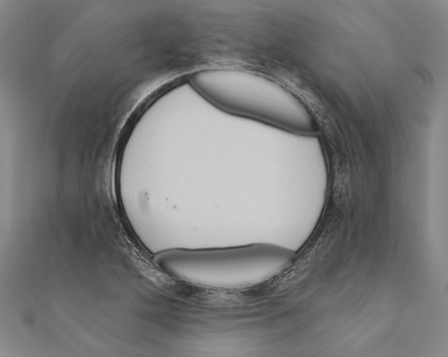 X0000110681272200907101120