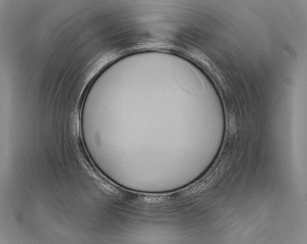 X0000110681274200907101120