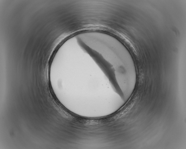 X0000110681275200907101120