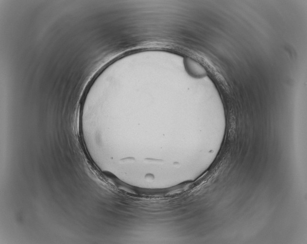 X0000110681276200907101120