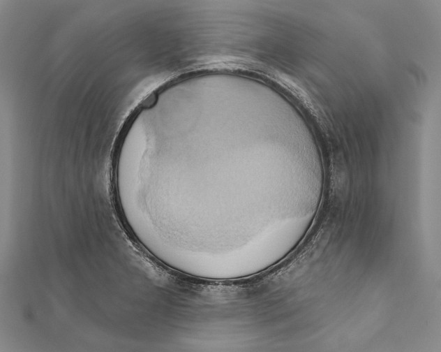 X0000110681277200907101120