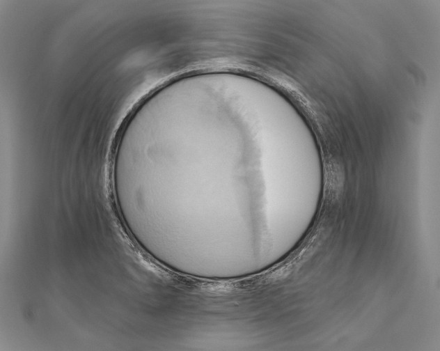 X0000110681278200907101120