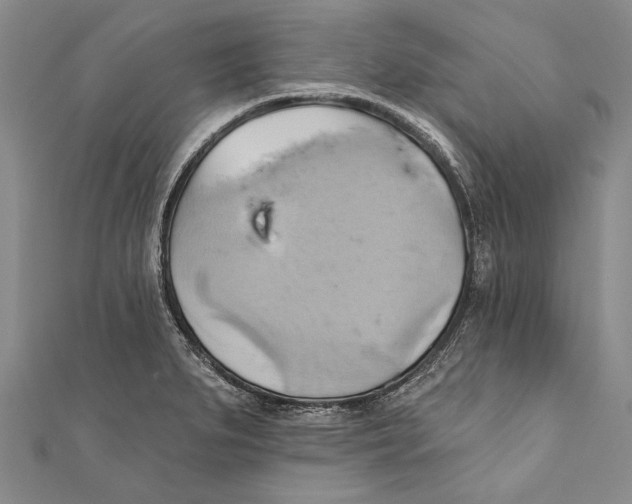 X0000110681279200907101120
