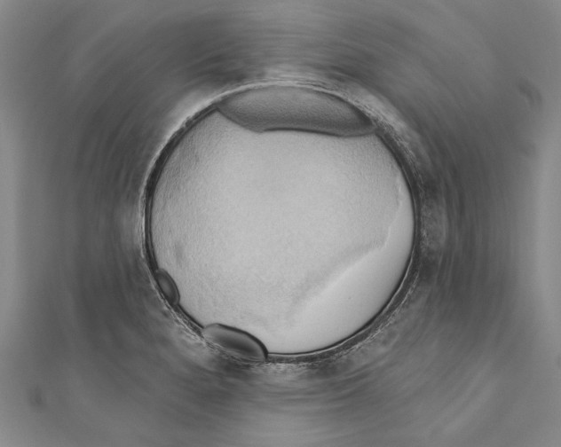 X0000110681280200907101120