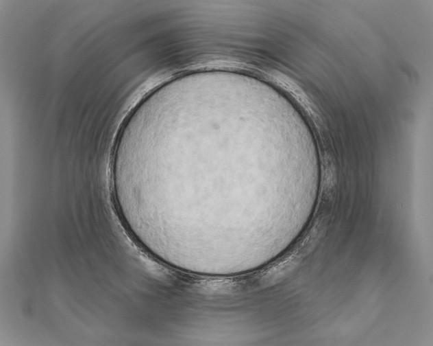 X0000110681282200907101120
