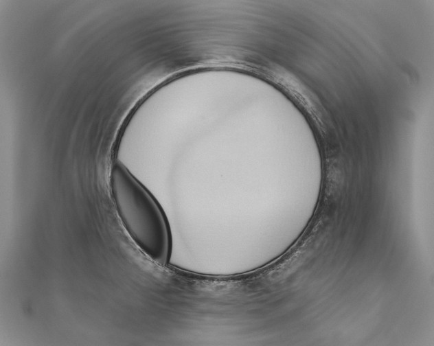 X0000110681284200907101120