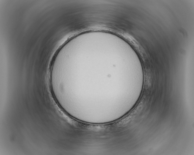 X0000110681286200907101120