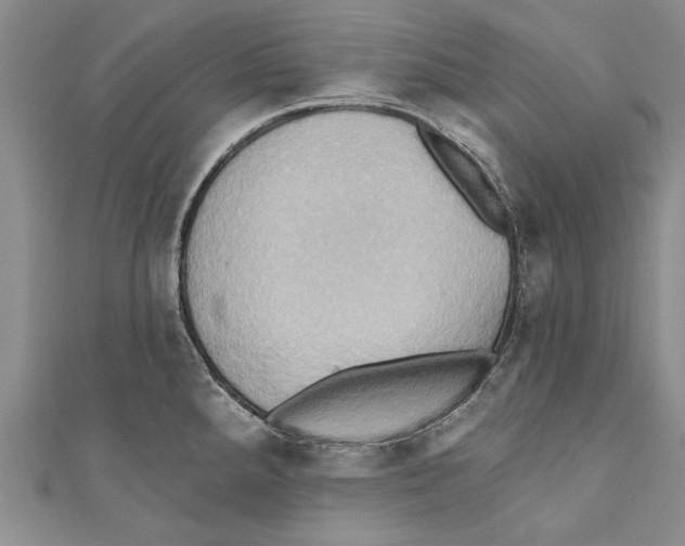 X0000110681288200907101120