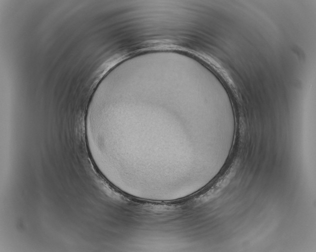 X0000110681289200907101120
