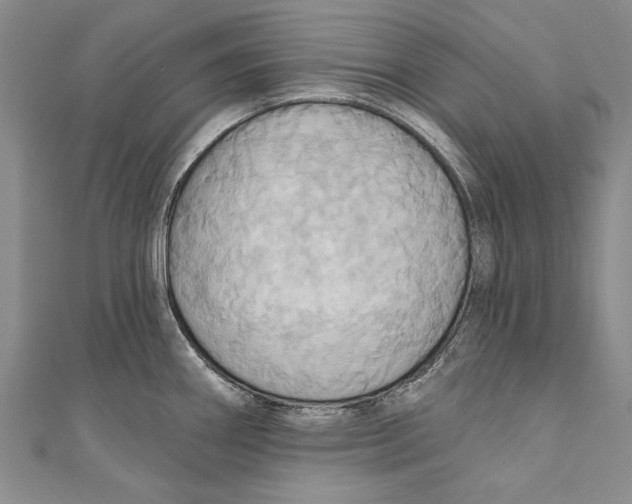 X0000110681290200907101120