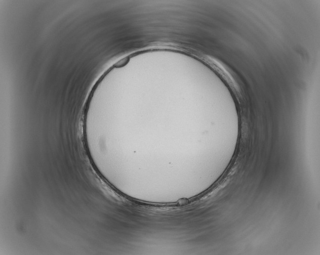 X0000110681292200907101120