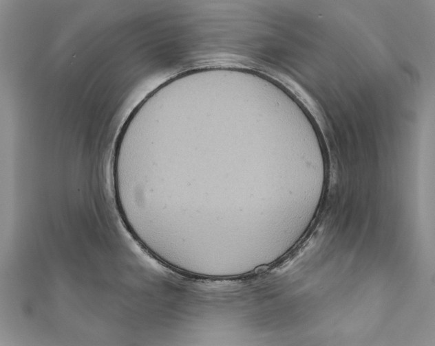 X0000110681293200907101120