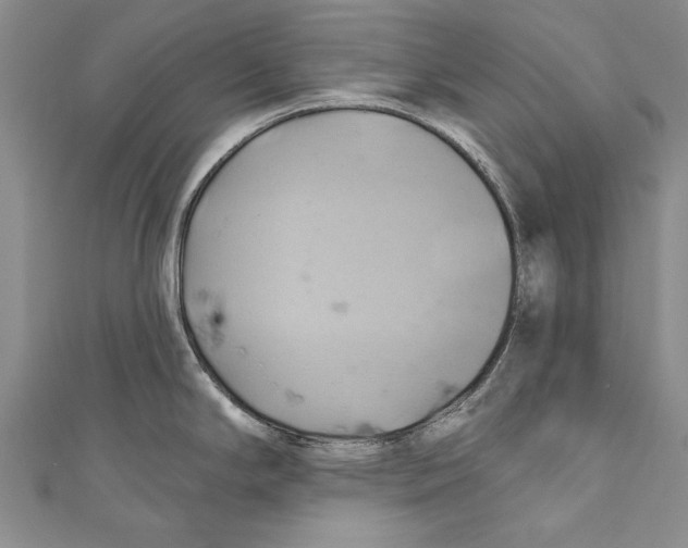 X0000110681294200907101120