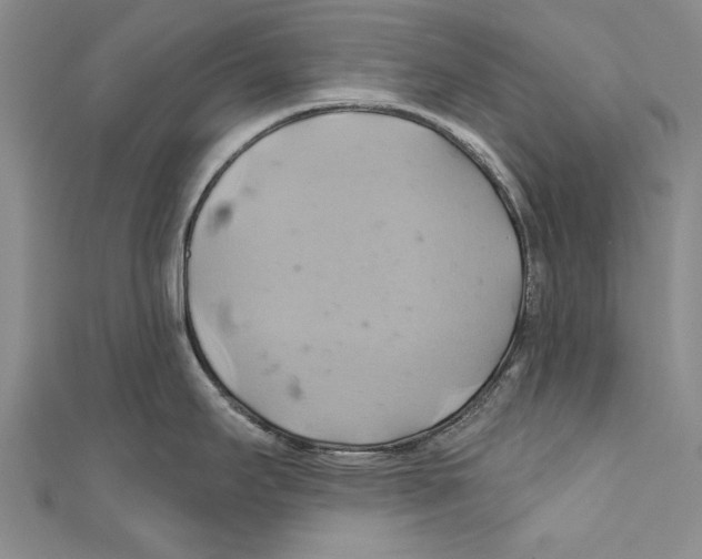 X0000110681295200907101120