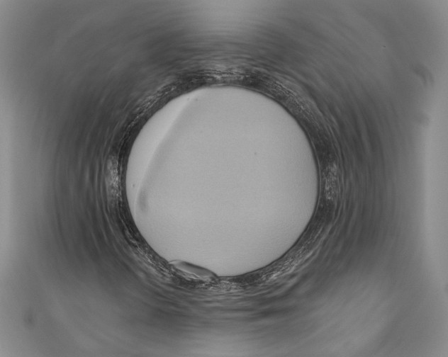 X0000110681298200907101119