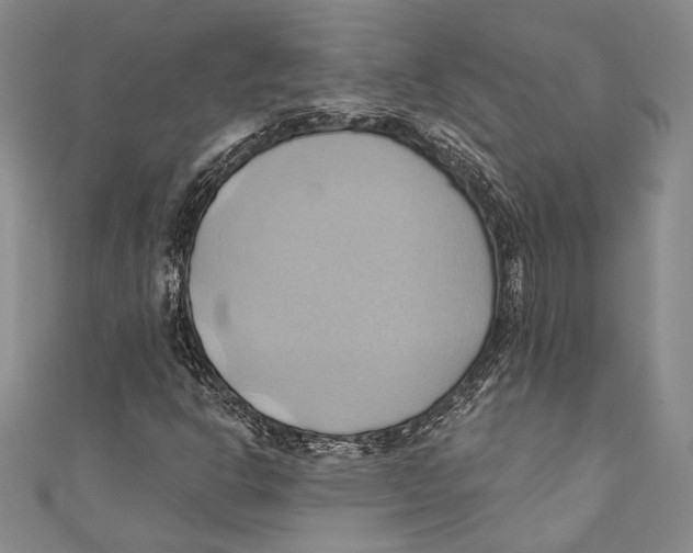 X0000110681302200907101119
