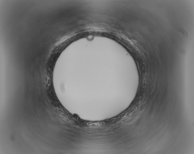 X0000110681303200907101119