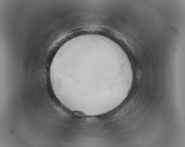 X0000110681304200907101119