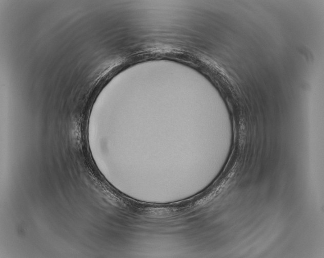 X0000110681305200907101119