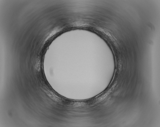 X0000110681306200907101119